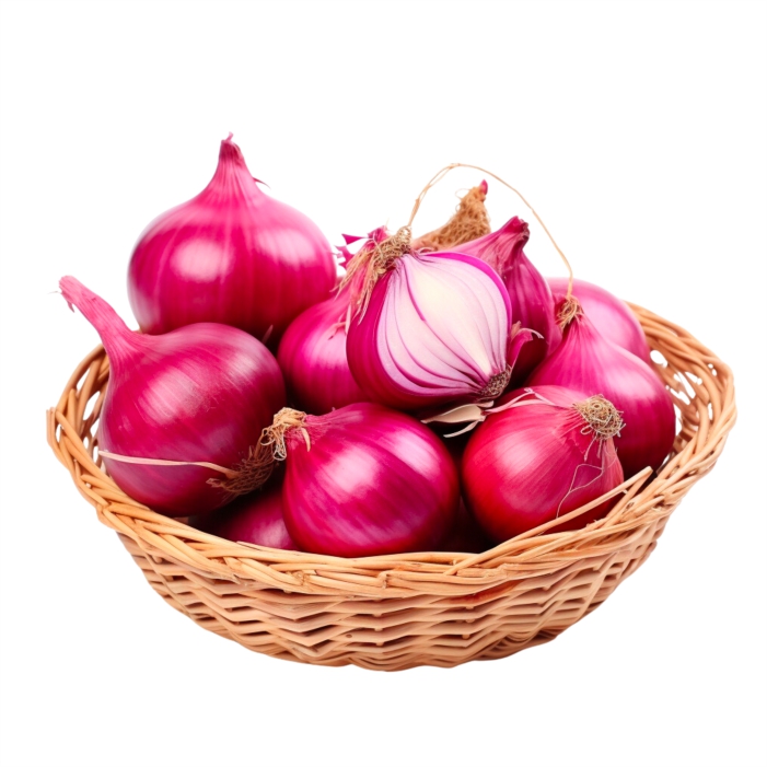 Onion Laptop